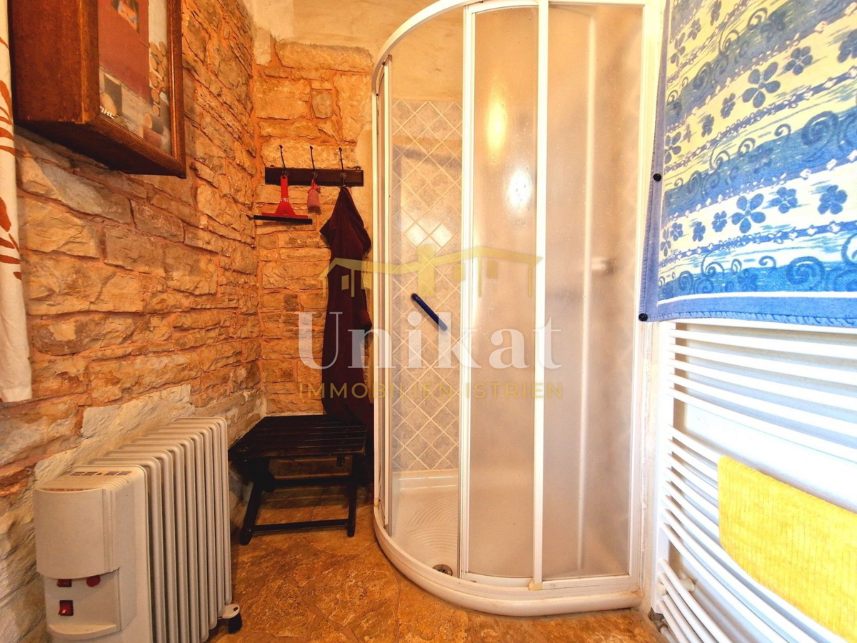 Avtentično posestvo s kamnito hišo in velikim zemljiščem